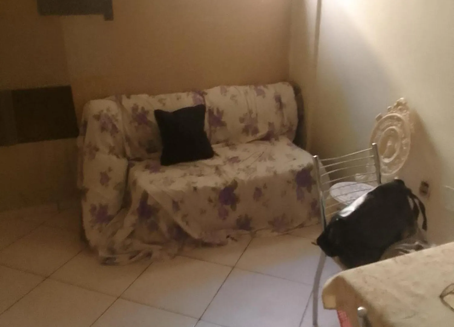 Sofa Cama Sala De Estar Apartamento Brasília